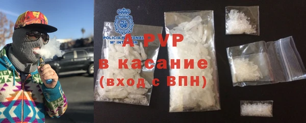 шишки Богородицк