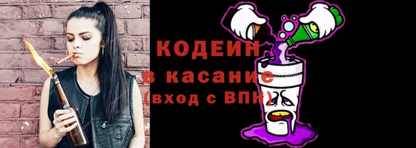 шишки Богородицк
