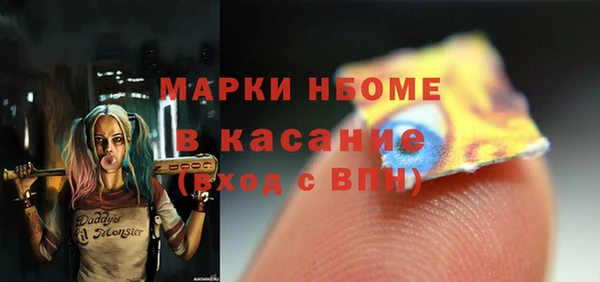 шишки Богородицк
