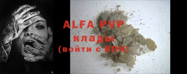 шишки Богородицк