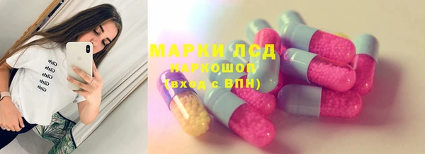 шишки Богородицк