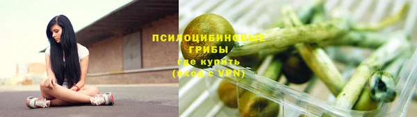 шишки Богородицк