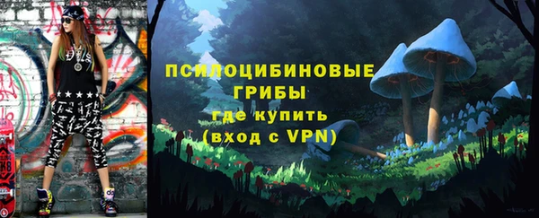 шишки Богородицк