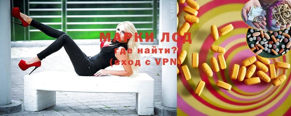 шишки Богородицк