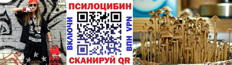 Псилоцибиновые грибы Magic Shrooms  Купить где  Новосиль 